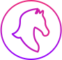 The Virtual Horse Racing Betting is One of the Game Types that Available in our Sportsbook Partner - Gamingsoft